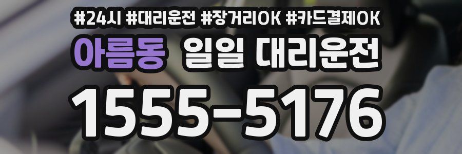 아름동 일일 대리운전
