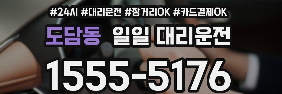 도담동 일일 대리운전