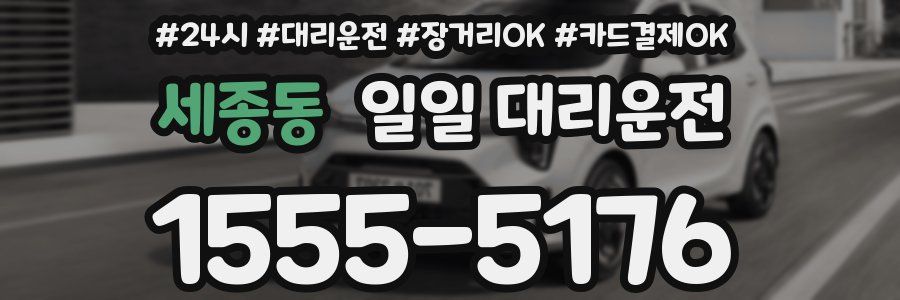 세종동 일일 대리운전