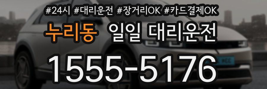 누리동 일일 대리운전