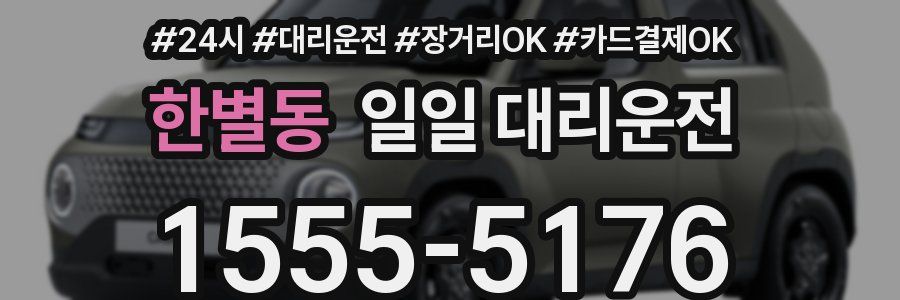 한별동 일일 대리운전