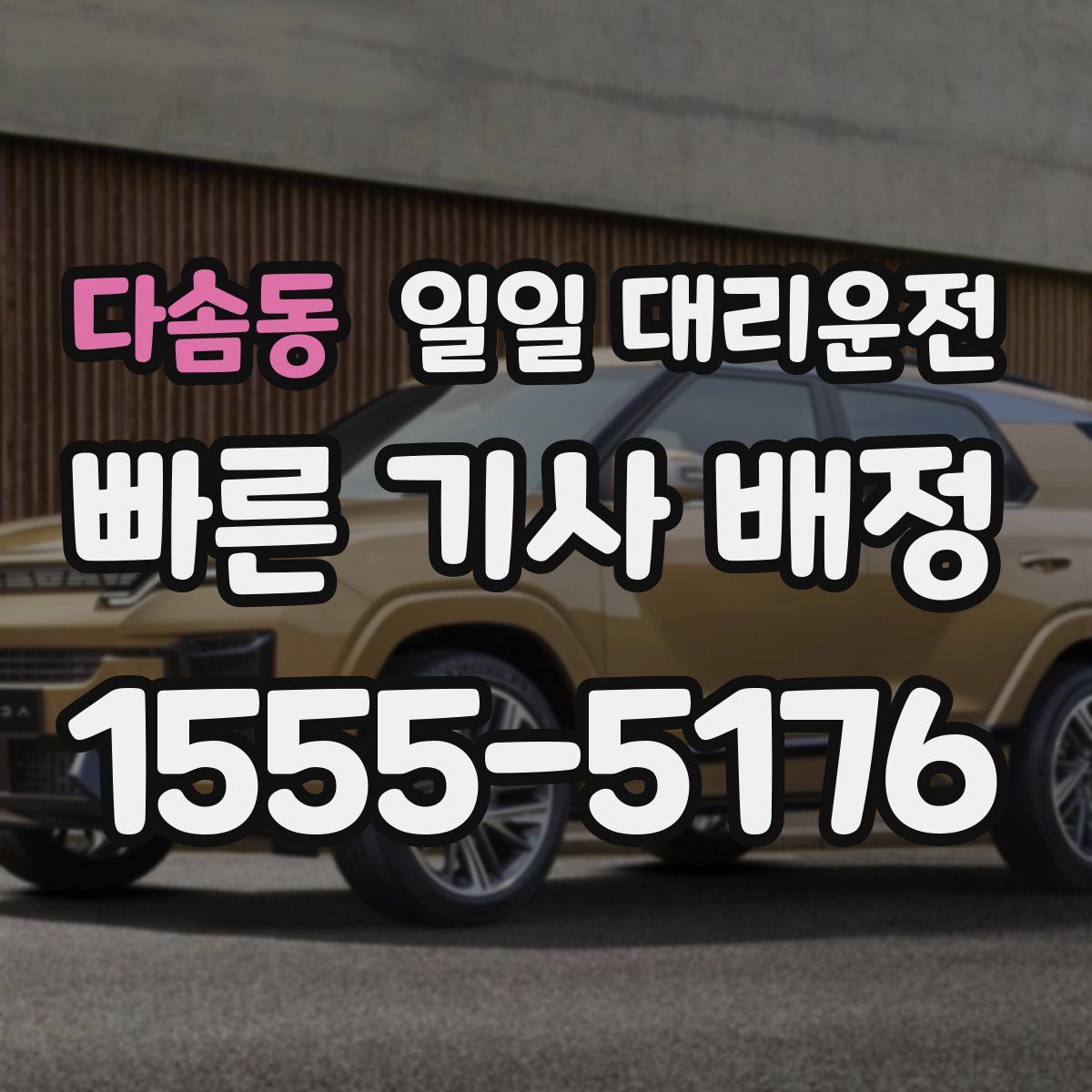 다솜동 일일 대리운전