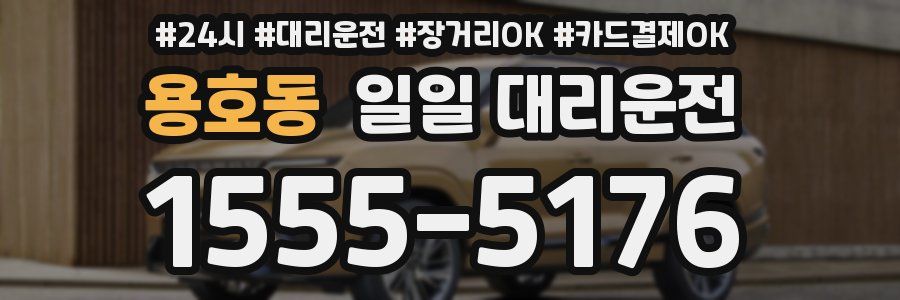 용호동 일일 대리운전