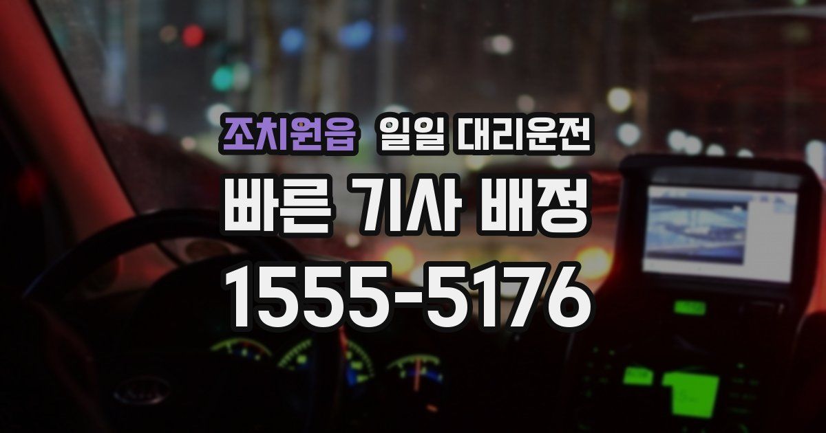 조치원읍 일일 대리운전