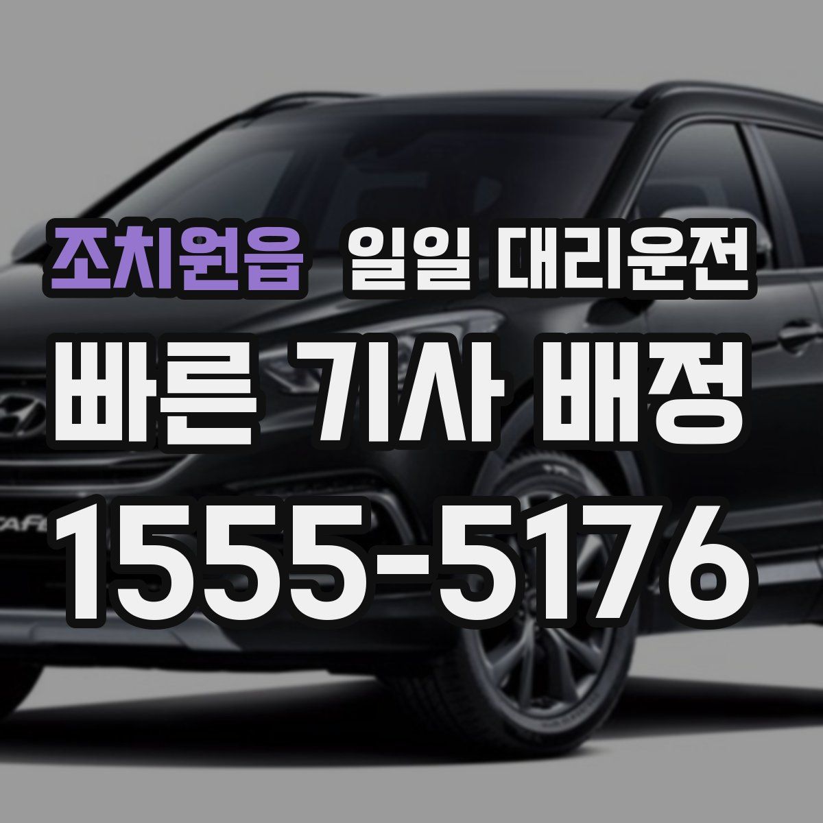 조치원읍 일일 대리운전