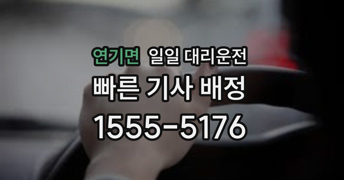 연기면 일일 대리운전