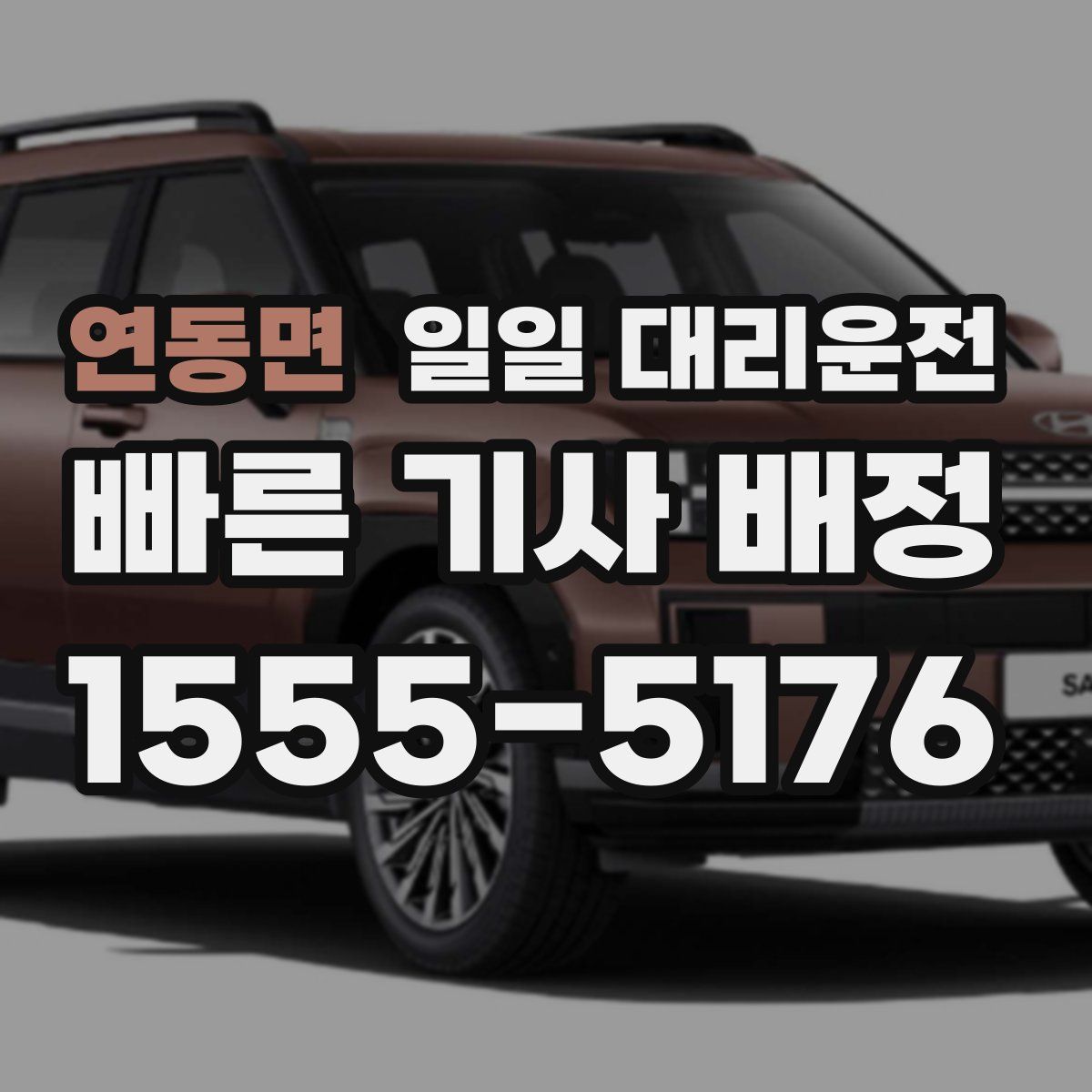 연동면 일일 대리운전