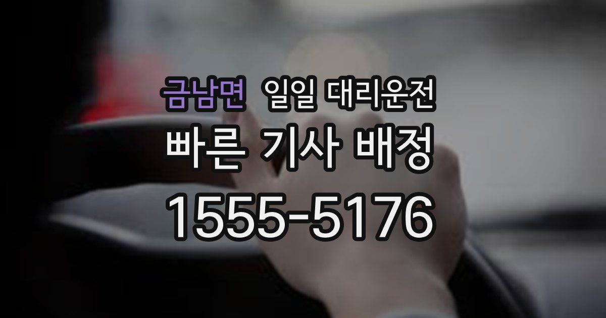 금남면 일일 대리운전