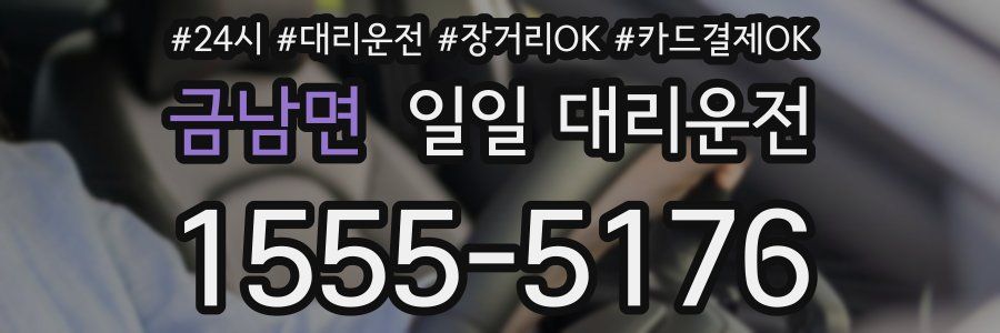 금남면 일일 대리운전