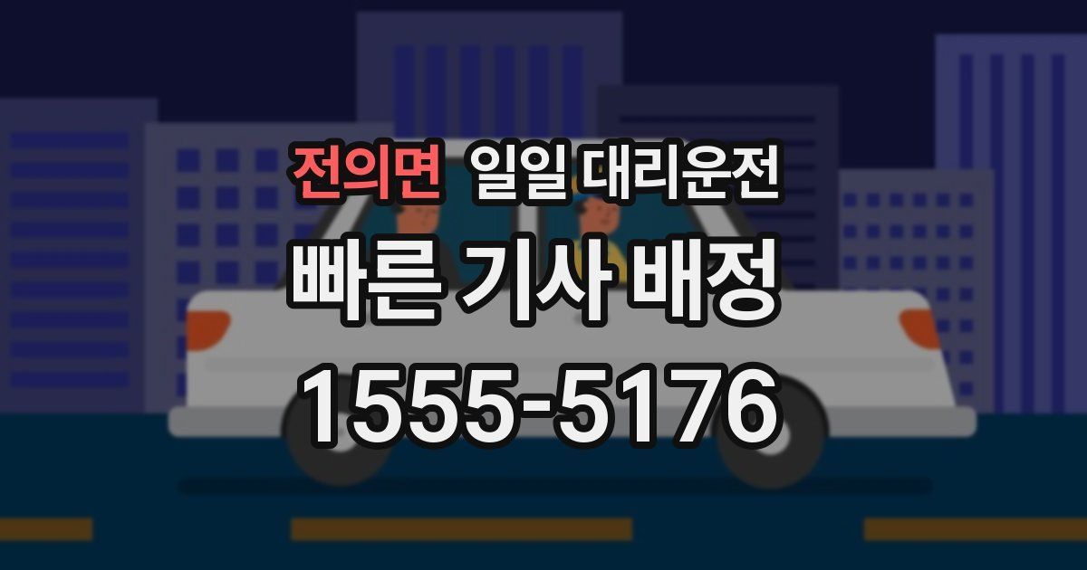 전의면 일일 대리운전