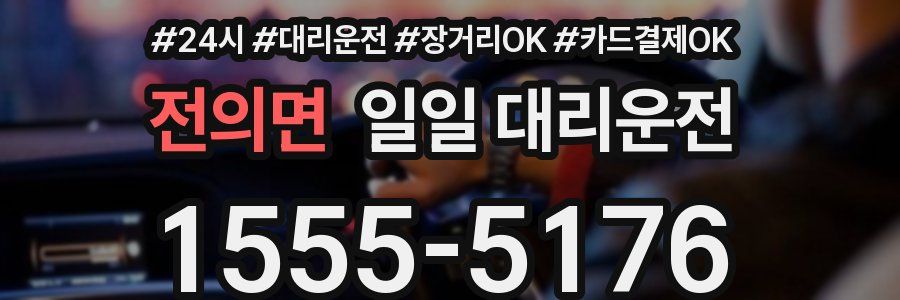 전의면 일일 대리운전