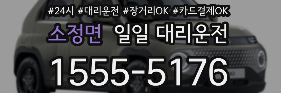 소정면 일일 대리운전
