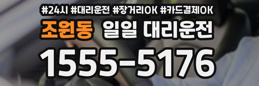 조원동 일일 대리운전
