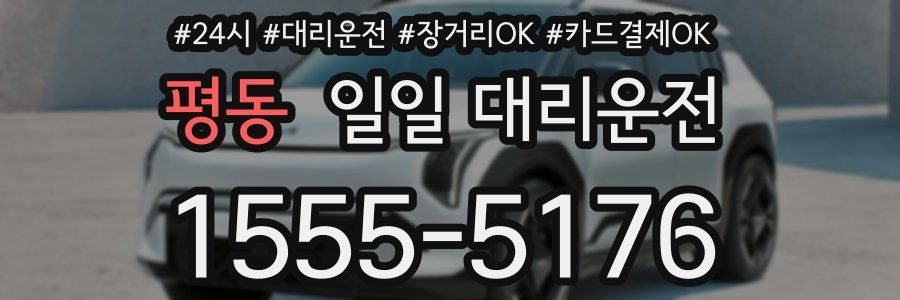 평동 일일 대리운전