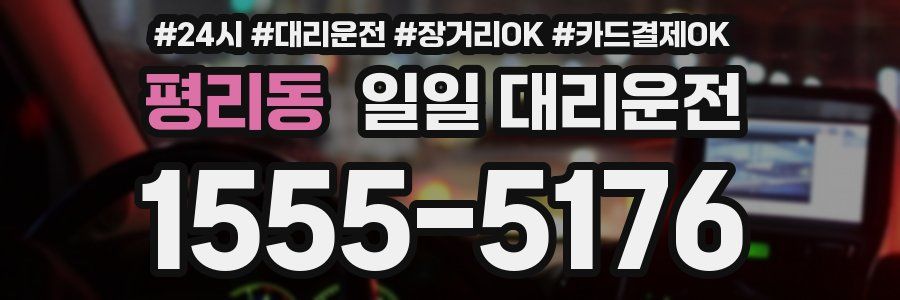 평리동 일일 대리운전