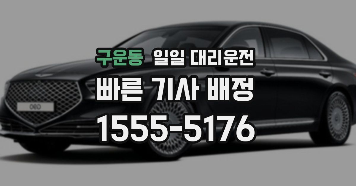 구운동 일일 대리운전