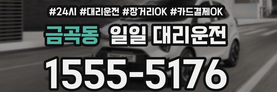 금곡동 일일 대리운전