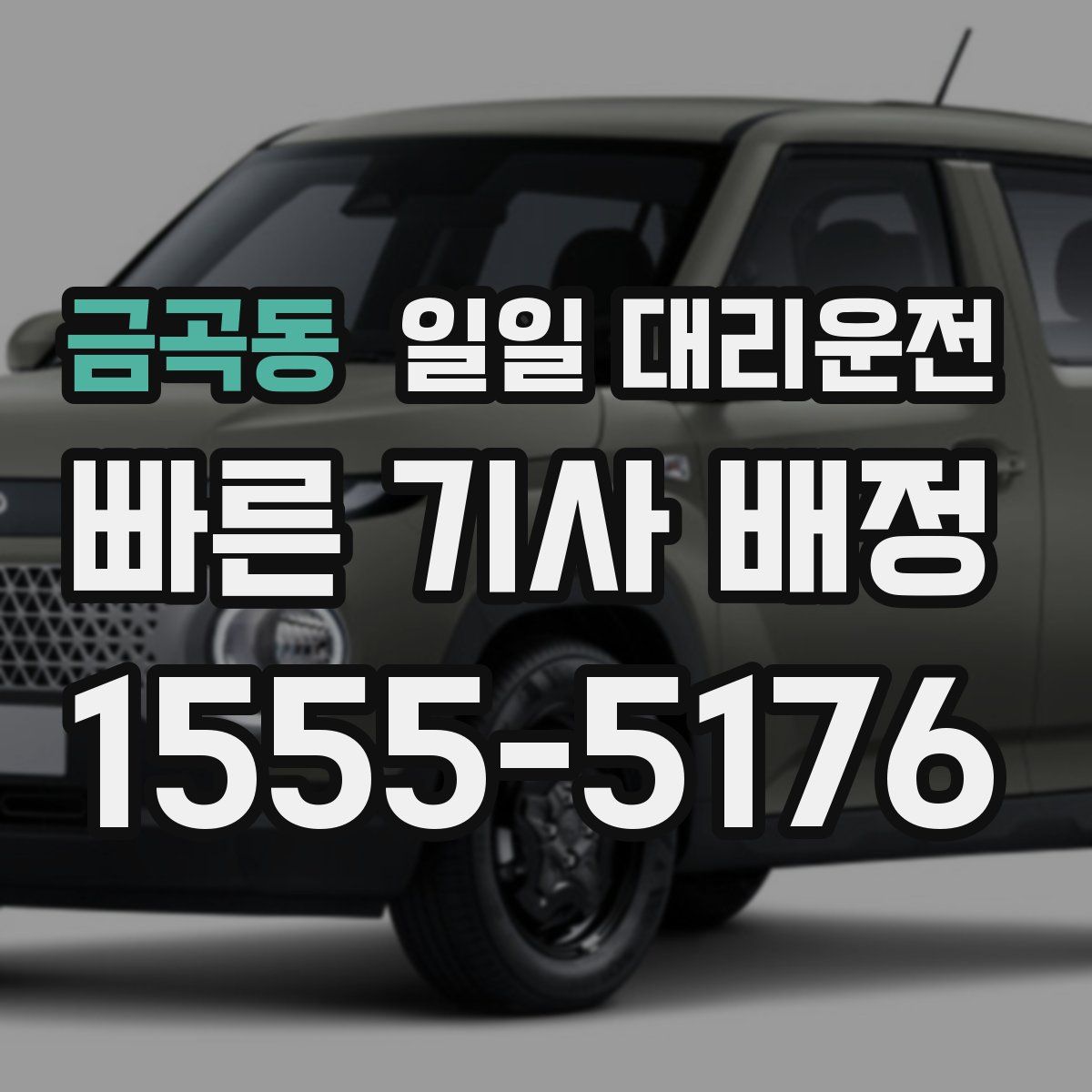 금곡동 일일 대리운전