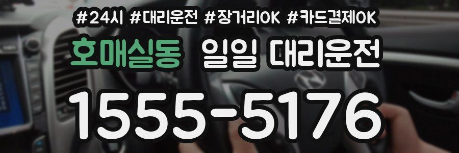 호매실동 일일 대리운전