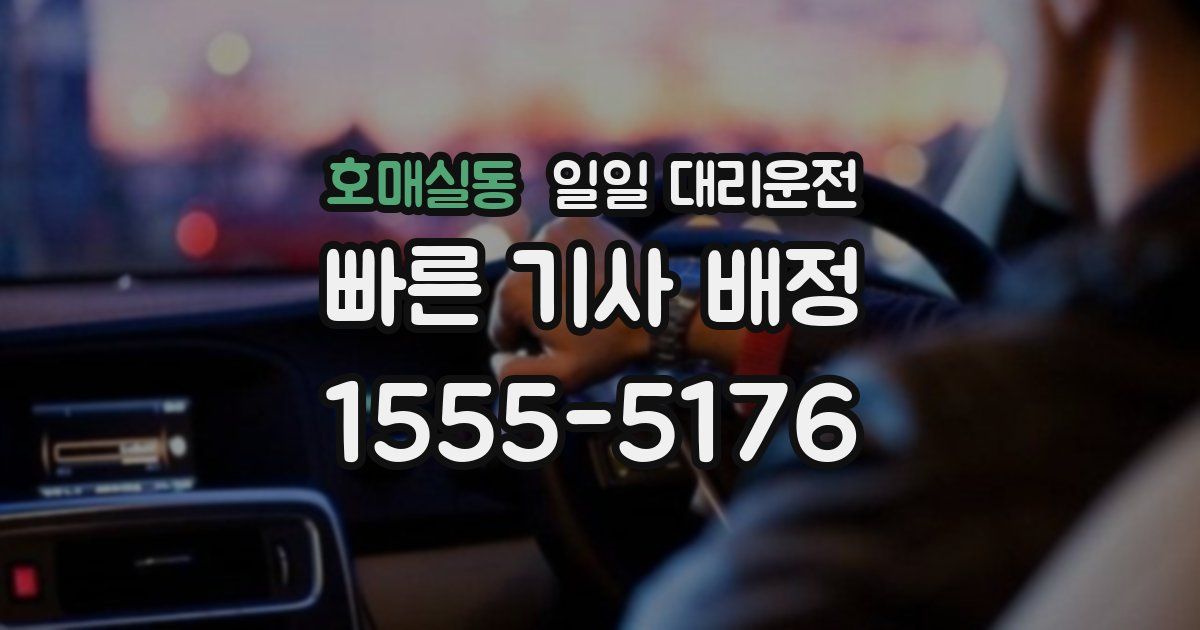 호매실동 일일 대리운전