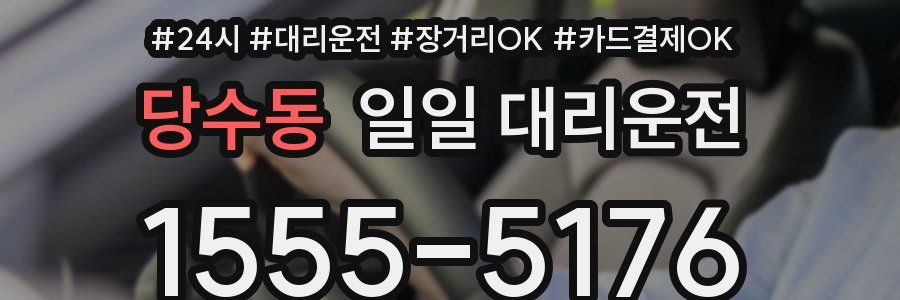 당수동 일일 대리운전