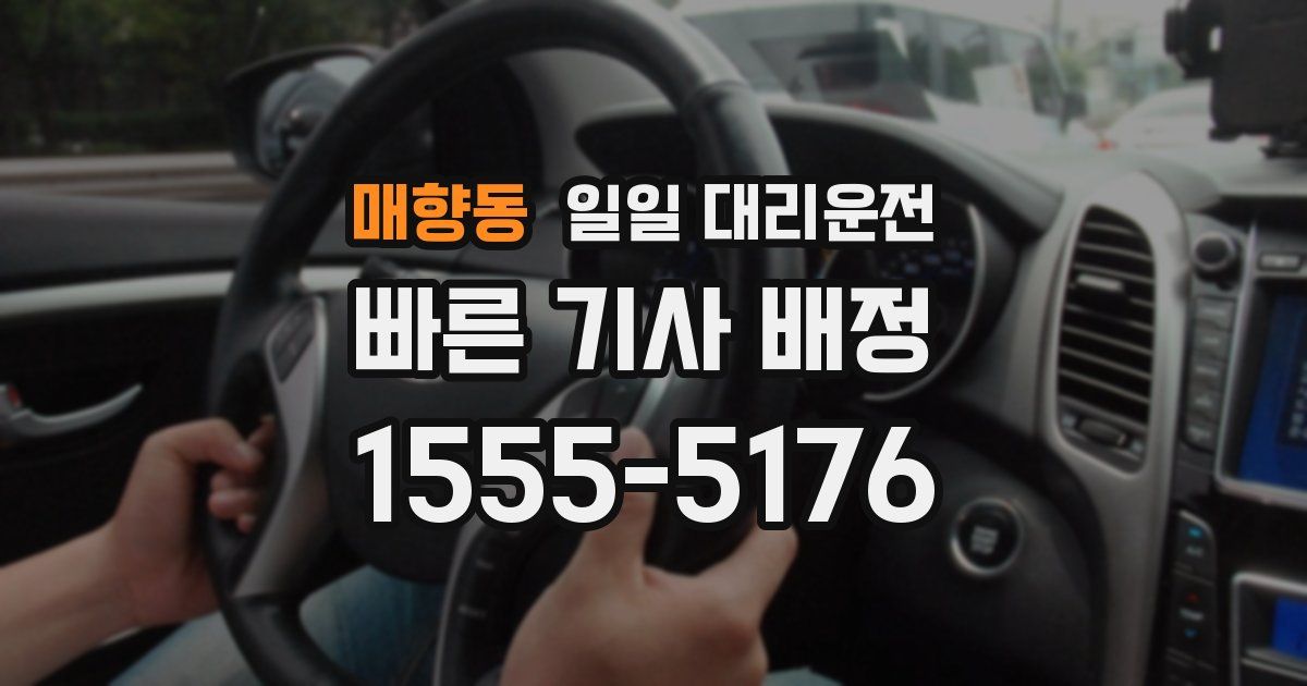 매향동 일일 대리운전
