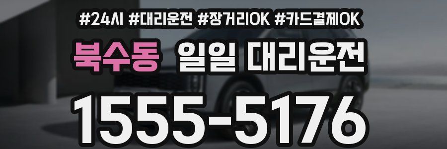 북수동 일일 대리운전