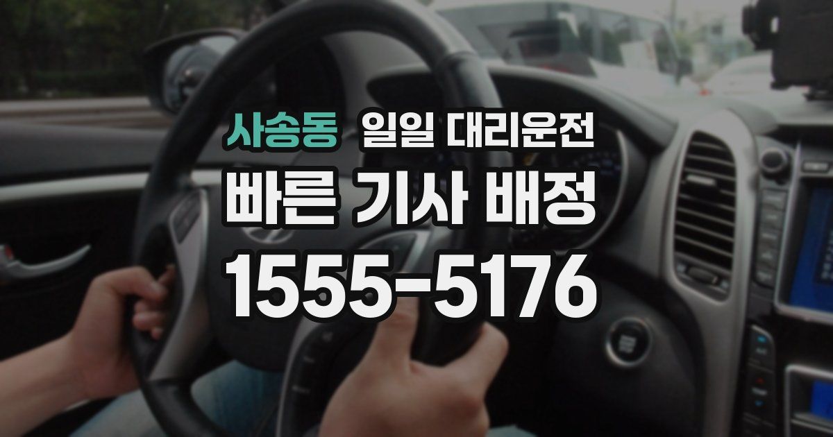 사송동 일일 대리운전