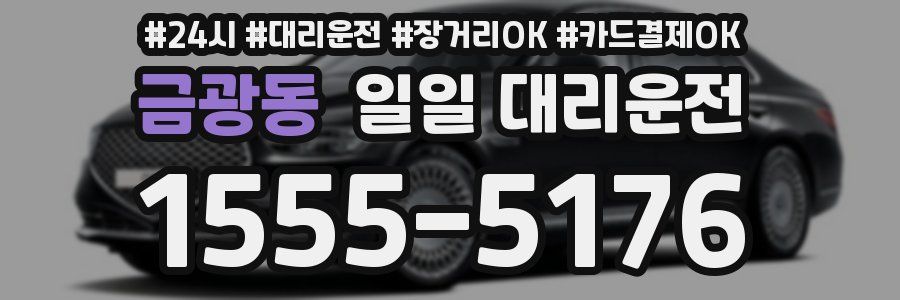 금광동 일일 대리운전