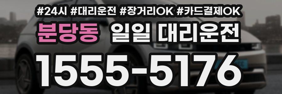 분당동 일일 대리운전