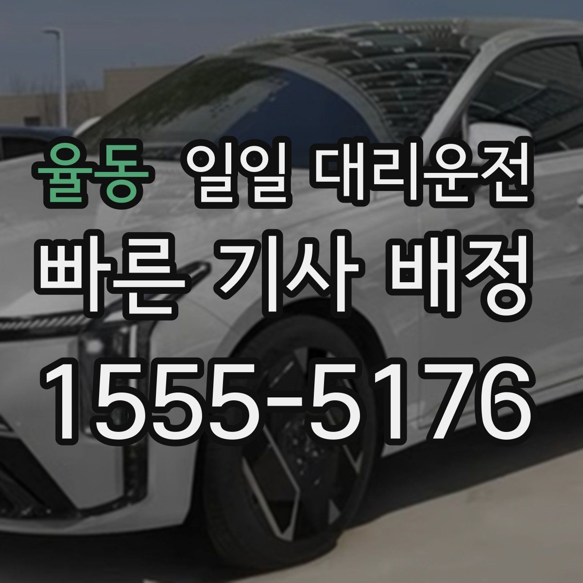 율동 일일 대리운전