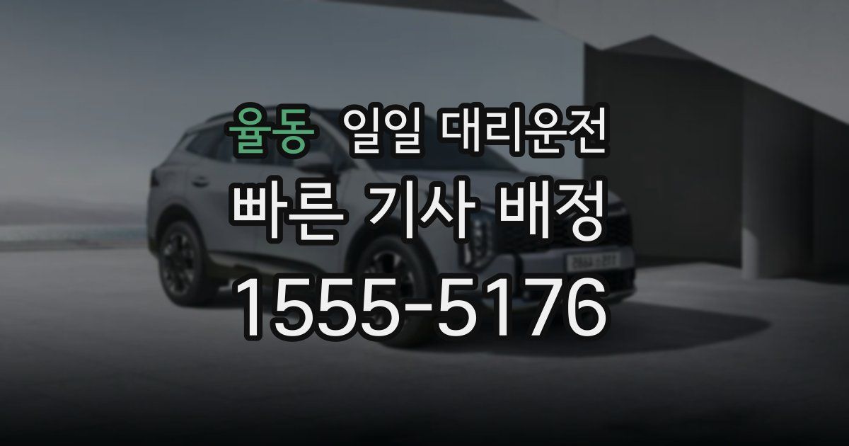 율동 일일 대리운전