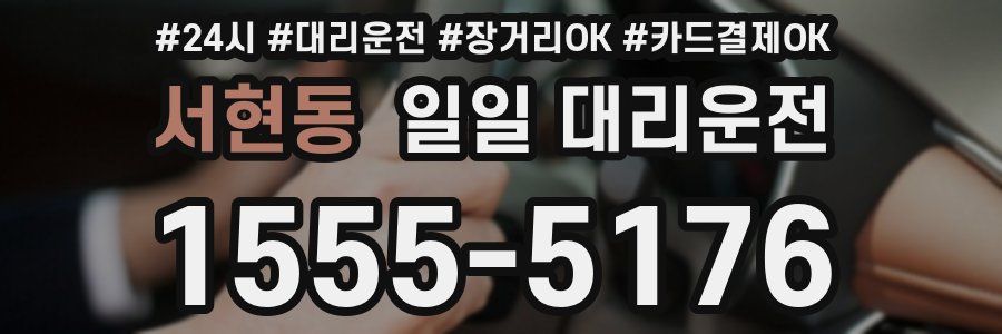 서현동 일일 대리운전