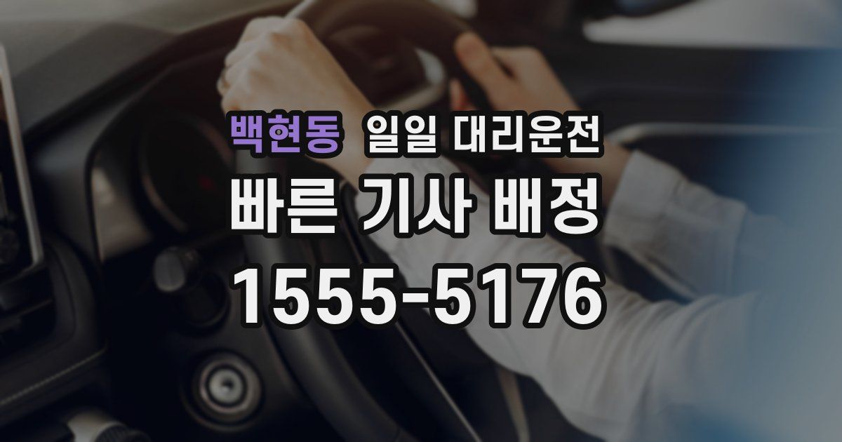백현동 일일 대리운전