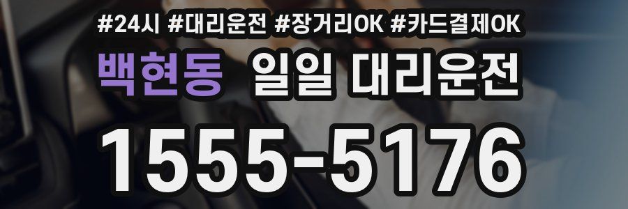 백현동 일일 대리운전