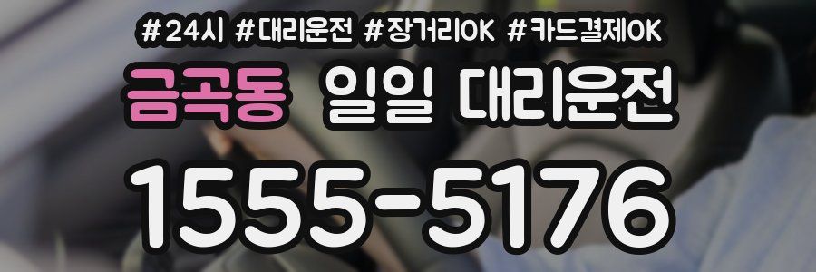 금곡동 일일 대리운전