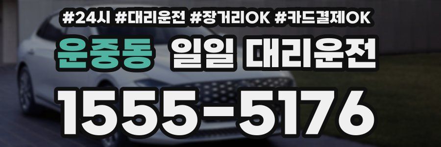 운중동 일일 대리운전