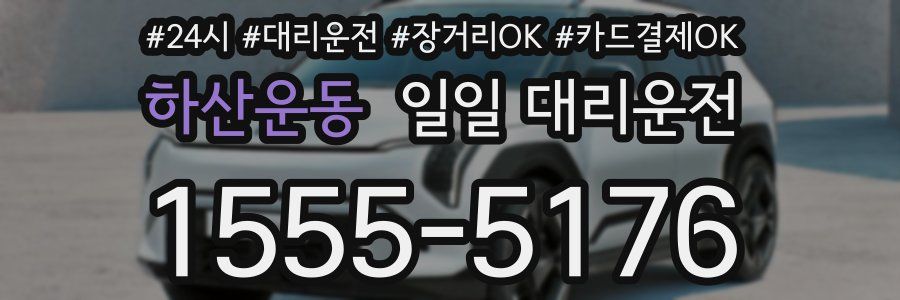 하산운동 일일 대리운전