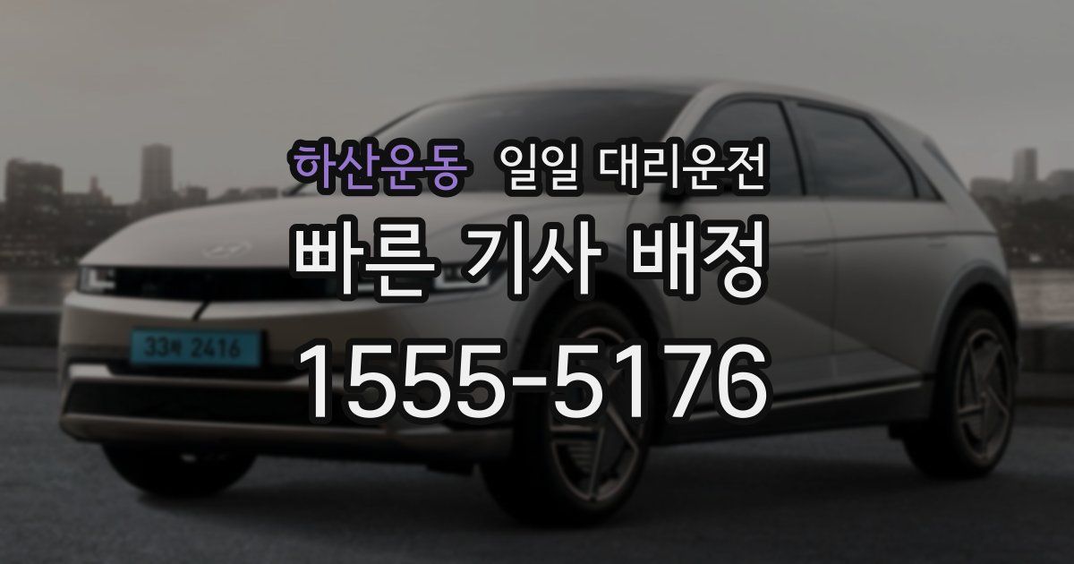 하산운동 일일 대리운전
