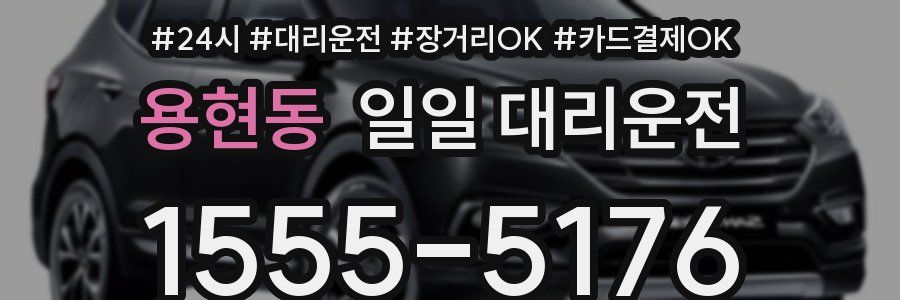 용현동 일일 대리운전