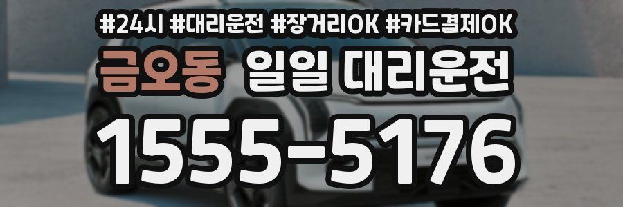 금오동 일일 대리운전