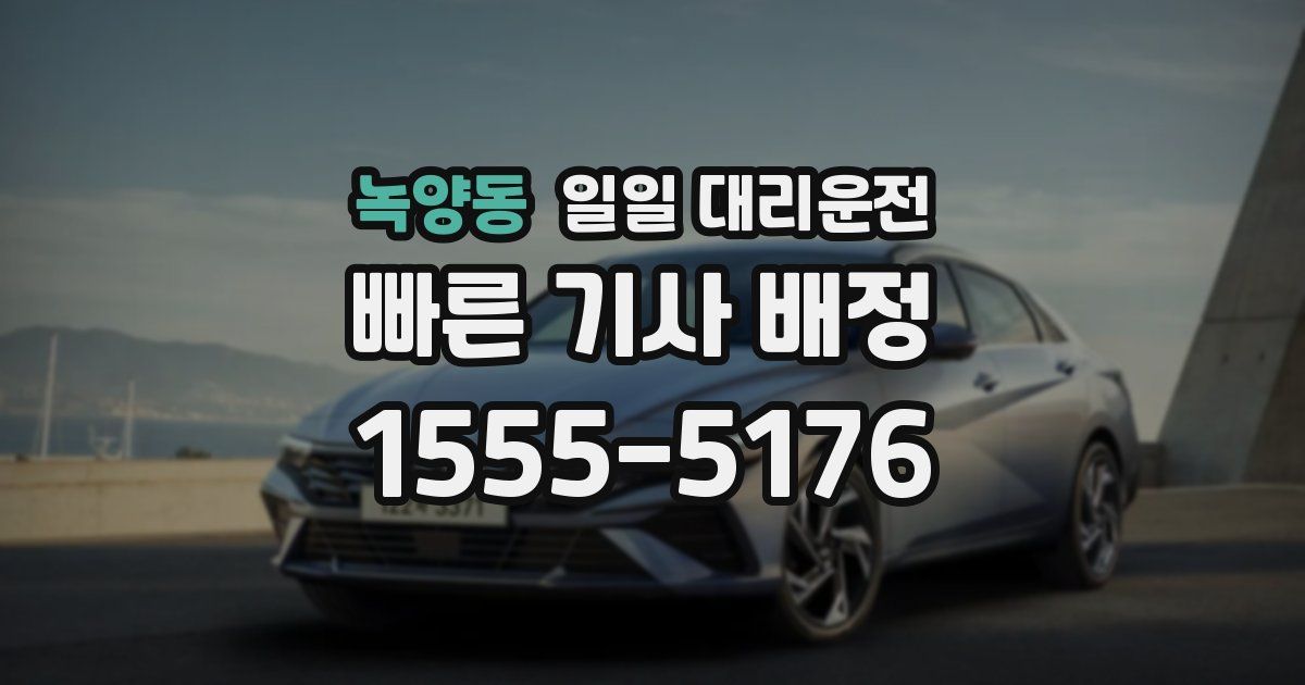 녹양동 일일 대리운전