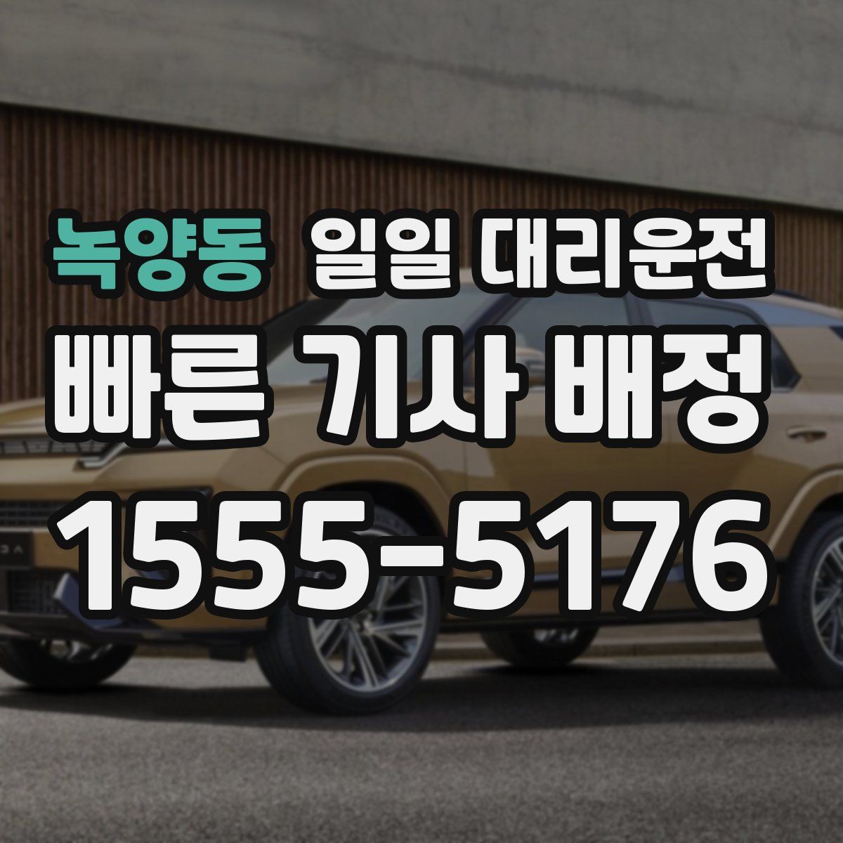 녹양동 일일 대리운전