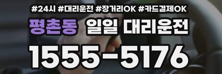 평촌동 일일 대리운전