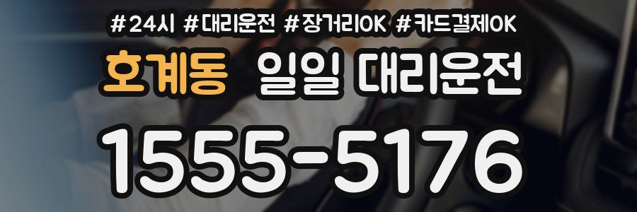 호계동 일일 대리운전