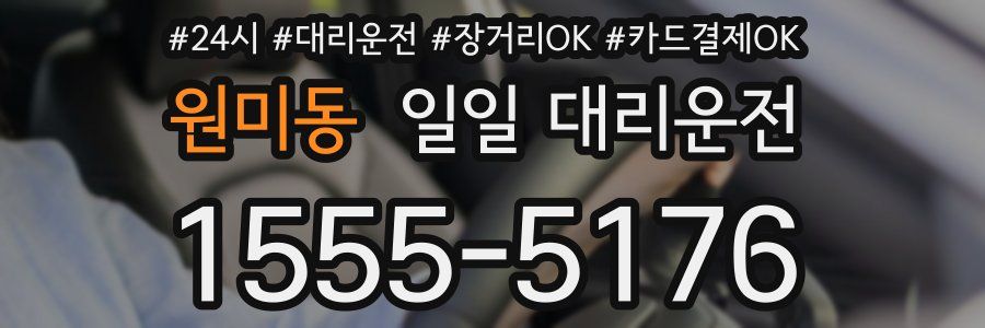 원미동 일일 대리운전