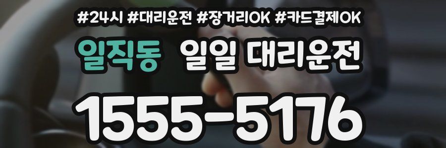 일직동 일일 대리운전