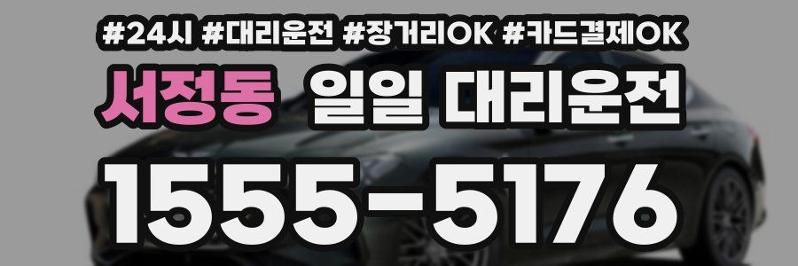 서정동 일일 대리운전