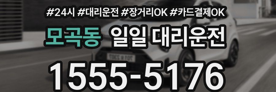 모곡동 일일 대리운전