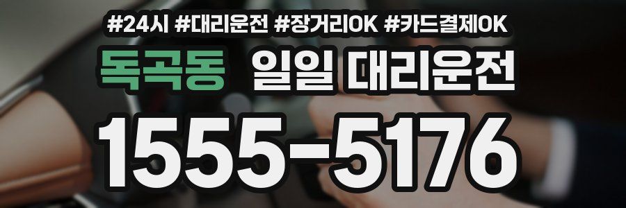 독곡동 일일 대리운전